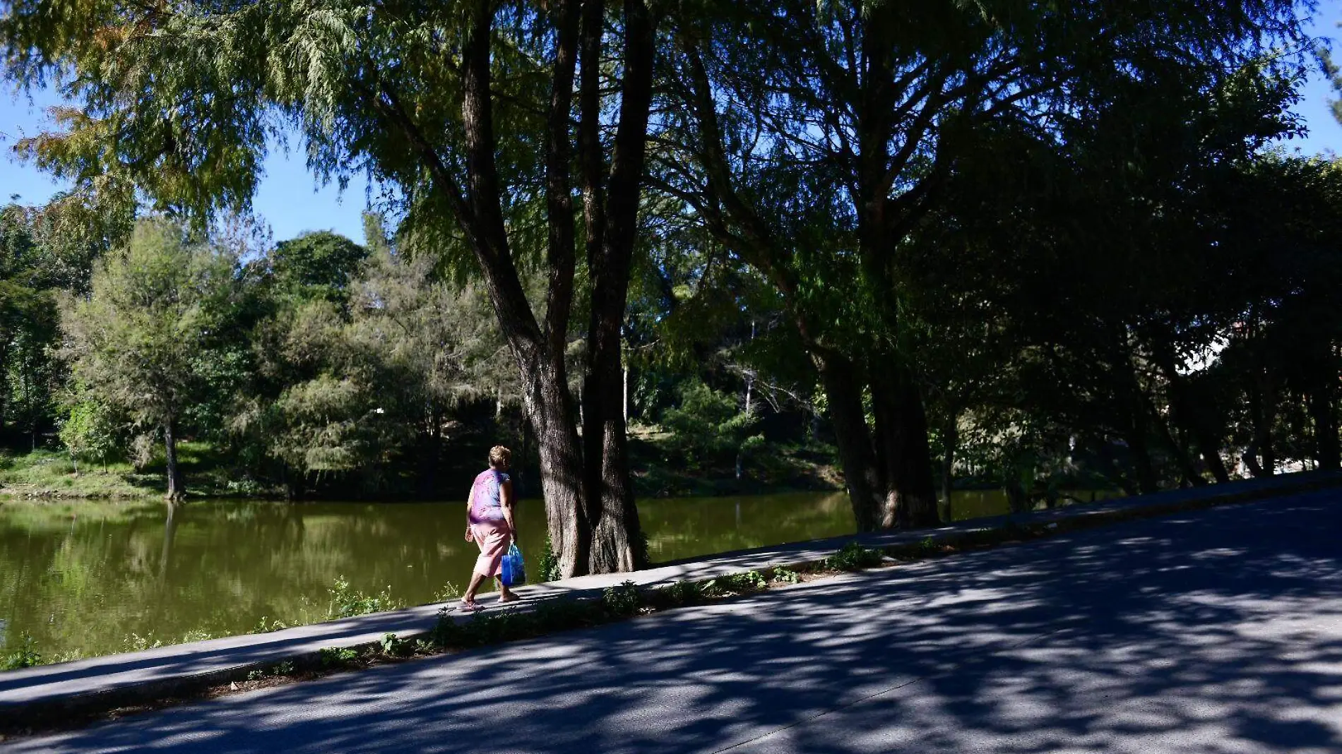 Laguna de Casa Blanca requiere atención integral